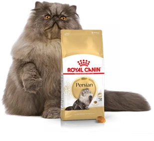 Royal Canin Persian Adult 20 kg - Sucha karma dla kotów - miniaturka - grafika 9