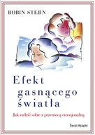 Pedagogika i dydaktyka - Efekt gasnącego światła - miniaturka - grafika 1