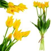 Sztuczne kwiaty - Tulipany Tulipan Papuzie Bukiet Gumowane Jak Żywe - miniaturka - grafika 1