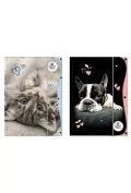 teczka z gumką a4 the sweet pets - Teczki i skoroszyty - miniaturka - grafika 1