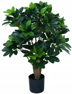 SZTUCZNE DRZEWKO Laurowiśnia 60 CM DRZEWO rośliny zielone żywotnik - Sztuczne kwiaty - miniaturka - grafika 1