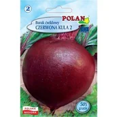 Nasiona i cebule - Burak Ćwikłowy Czerwona Kula Polan - miniaturka - grafika 1