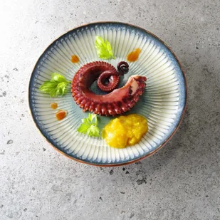 Fine Dine TALERZ Z WYSOKIM RANTEM GALAXY 21 cm PORCELANA EARTH COLOURS NIEBIESKI - Talerze - miniaturka - grafika 5