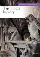 Książki o kulturze i sztuce - Tajemnicze katedry - miniaturka - grafika 1