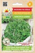 Nasiona i cebule - Nasiona Na Kiełki - Gorczyca Czarna - miniaturka - grafika 1