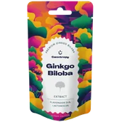 Suplementy naturalne - Ekstrakt z miłorzębu japońskiego, 24% flawonoidów, 6% laktonów – 10G - miniaturka - grafika 1