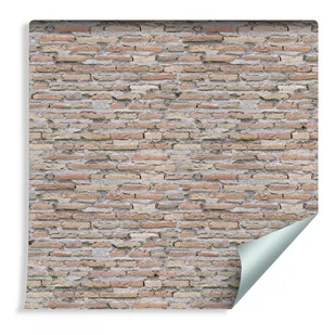 Muralo Tapeta Kolorowe Cegiełki 453754822 T_F_10mx53_W_453754822_S - Tapety - miniaturka - grafika 1