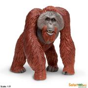 Figurki dla dzieci - Safari Xl Ltd 112289 Orangutan Skala 1:9 10,5x10x12,5cm 854312 - miniaturka - grafika 1