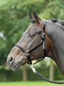 Kantary dla koni - Busse Kantar anatomiczny, skórzany ANATOMIC - miniaturka - grafika 1