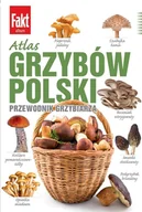 Czasopisma - Fakt Album - miniaturka - grafika 1