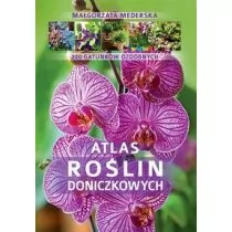 Atlas roślin doniczkowych - Dom i ogród - miniaturka - grafika 1