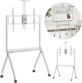 Uchwyty do telewizora - Stand / wózek do TV Maclean, półka na kamerę, na kółkach, 55-100", max. obciążenie 120kg/10kg półka, max. VESA 900x600, biały, M - miniaturka - grafika 1