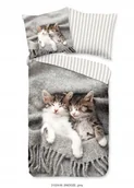 Pościel dla dzieci - Pościel kotki koteczki koty pasy beżowa 135x200 mikrofibra dla dziecka - miniaturka - grafika 1