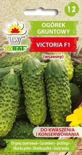 Ogórek VICTORIA F1 (wczesny) Cucumis sativus L. - Nasiona i cebule - miniaturka - grafika 1