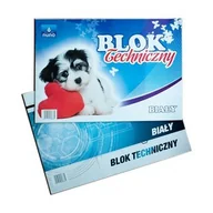 Szkolne artykuły papiernicze - SDM Blok techniczny A3 biały - miniaturka - grafika 1