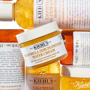 Kiehl`s Kiehl`s Pielęgnacja nawilżająca Serum-Infused Water Cream 28.0 ml - Serum do twarzy - miniaturka - grafika 6
