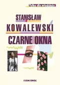 Lektury szkoła podstawowa - Czarne okna BR w.2017 - Stanisław Kowalewski - miniaturka - grafika 1