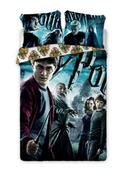 Pościel dla dzieci - Pościel młodzieżowa Harry Potter 001 140x200cm + poduszka 70x90cm - Zamów do 16:00, wysyłka kurierem tego samego dnia! - miniaturka - grafika 1