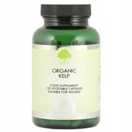 Witaminy i minerały - G&G G&G Oganic Kelp x 120 kaps - miniaturka - grafika 1