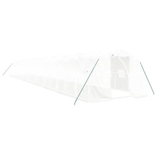 Prolenta Premium - Szklarnia z ramą stalową biała 60 m² 20x3x2 m - Szklarnie ogrodowe - miniaturka - grafika 1