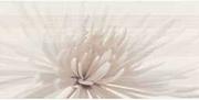 Płytki ceramiczne - Płytka ścienna inserto AVANGARDE white flower glossy 29,7x60 gat. I - miniaturka - grafika 1