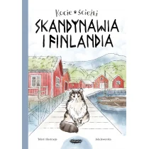 Skandynawia i Finlandia - Literatura popularno naukowa dla młodzieży - miniaturka - grafika 1