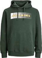 Bluzy męskie - Bestseller A/S Męska bluza z kapturem JJECORP Logo Sweat Hood Play NOOS PLS, Mountain View, 3XL, Mountain View - miniaturka - grafika 1