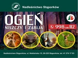 Tabliczka: Ogień niszczy i zabija - Tablice BHP - miniaturka - grafika 1
