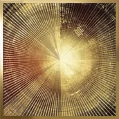 Obrazy i zdjęcia - Obraz W Ramie 70X70 Ob-056 - miniaturka - grafika 1