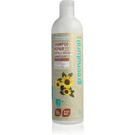 Szampony do włosów - Greenatural Shampoo Repair szampon regenerujący do włosów suchych i zniszczonych z masłem shea 400 ml - miniaturka - grafika 1