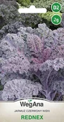 Nasiona i cebule - Jarmuż Rednex 2g czerwony niski nasiona WEGANA - miniaturka - grafika 1