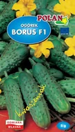 Nasiona i cebule - Ogórek Gruntowy Borus - Mieszaniec Nasiona 5g Polan - miniaturka - grafika 1