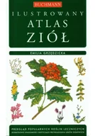 Nauki przyrodnicze - Ilustrowany atlas ziół Używana - miniaturka - grafika 1