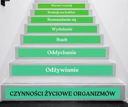 Naklejki na schody: Czynności życiowe organizmów - Pomoce naukowe - miniaturka - grafika 1