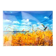 Teczki i skoroszyty - Teczka kopertowa PP A5 Niebo VISTA Narcissus - miniaturka - grafika 1