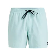 Kąpielówki męskie - Szorty kąpielowe dla Mężczyzn EVERYDAY SOLID VOLLEY 15" Zielony - miniaturka - grafika 1