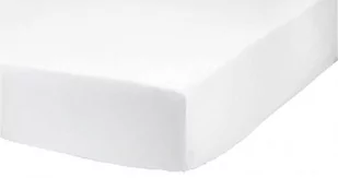TEX Prześcieradło bawełniane 180x200 Biały - Prześcieradła - miniaturka - grafika 1