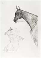 Plakaty - Galeria Plakatu, Plakat, Horse and Collie, Henri De Toulouse-Lautrec, 40x60 cm - miniaturka - grafika 1