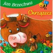 Baśnie, bajki, legendy - Skrzat Chrząszcz - Jan Brzechwa - miniaturka - grafika 1