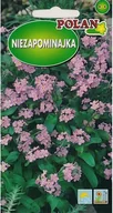 Nasiona i cebule - Niezapominajka Różowa 0.5 g POLAN - miniaturka - grafika 1