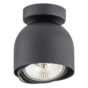 Garland lampa sufitowa 4711 BZ Argon - Lampy sufitowe - miniaturka - grafika 1