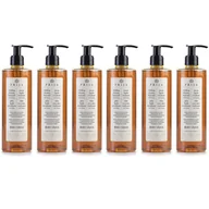 Mydła - PRIJA MYDŁO W PŁYNIE do rąk Z POMPKĄ ekstrakt z żeń-szenia 6x380 ml - miniaturka - grafika 1
