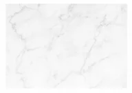 Fototapety - Fototapeta BIAŁY MARMUR Kamień Do Salonu Sypialni Ścienna 254x184 cm - miniaturka - grafika 1