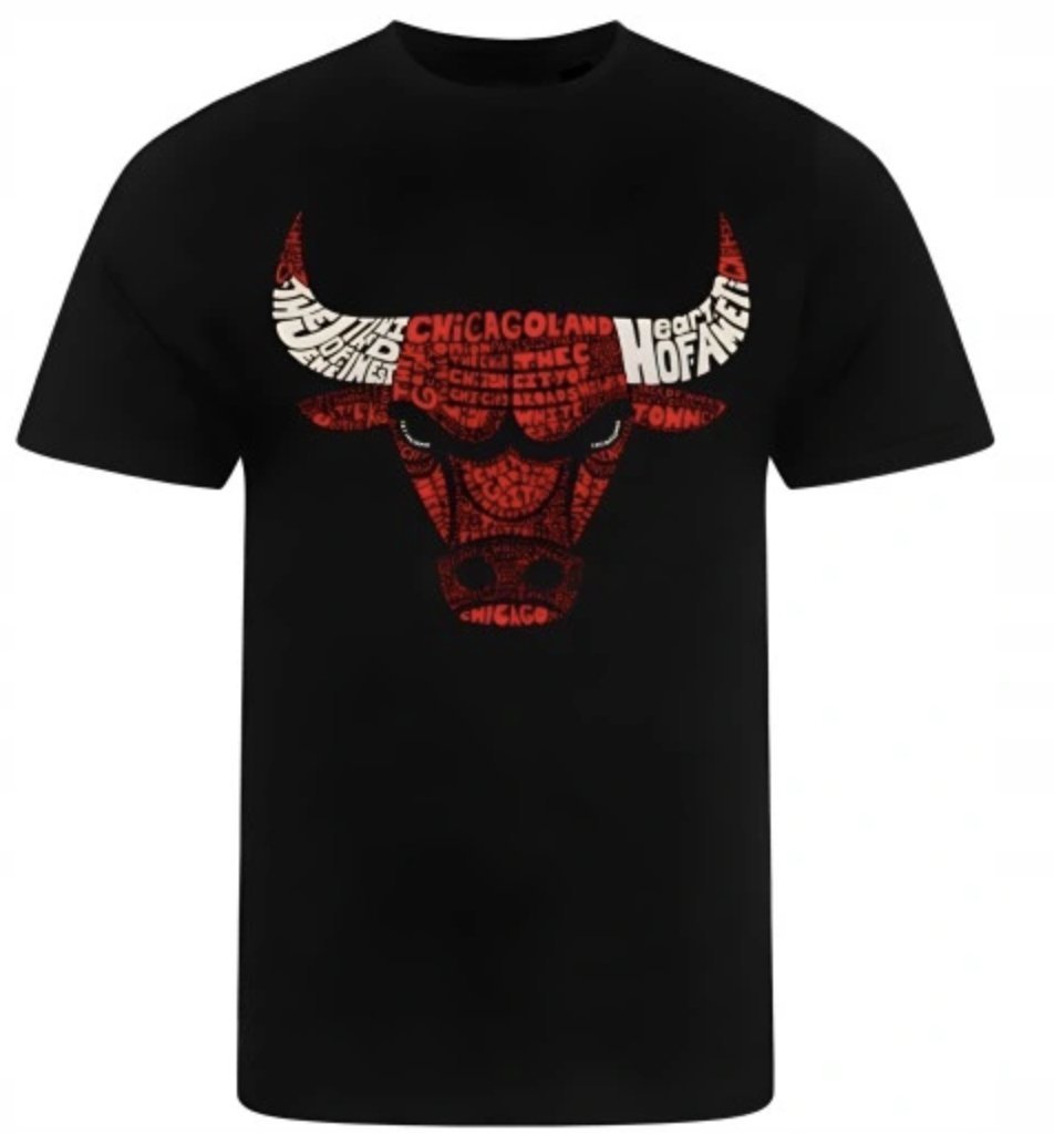 KOSZULKA Z NADRUKIEM MĘSKA ŚMIESZNA T-SHIRT CHICAGO BULLS NBA JORDAN r. L 3