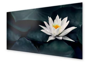 Panel kuchenny HOMEPRINT Biały kwiat lotosu 125x50 cm - Dekoracje domu - miniaturka - grafika 1