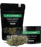 Zioła - Susz konopny Jack Herer 10g / 5% CBD - miniaturka - grafika 1
