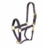 Kantary dla koni - Anky  Technical Casual Kantar ATH221001 SS 2022 - ANKY - dark navy - miniaturka - grafika 1