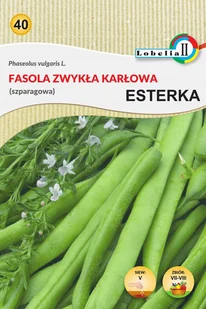Fasola zwykła karłowa Esterka nasiona 40g / L / - Nasiona i cebule - miniaturka - grafika 1