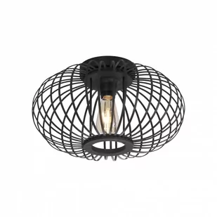 11410-18 RACOON LAMPA SUFITOWA CZARNA - Lampy sufitowe - miniaturka - grafika 1