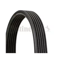 Rolki i napinacze - CONTITECH Pasek klinowy wielorowkowy 6DPK1697 - miniaturka - grafika 1